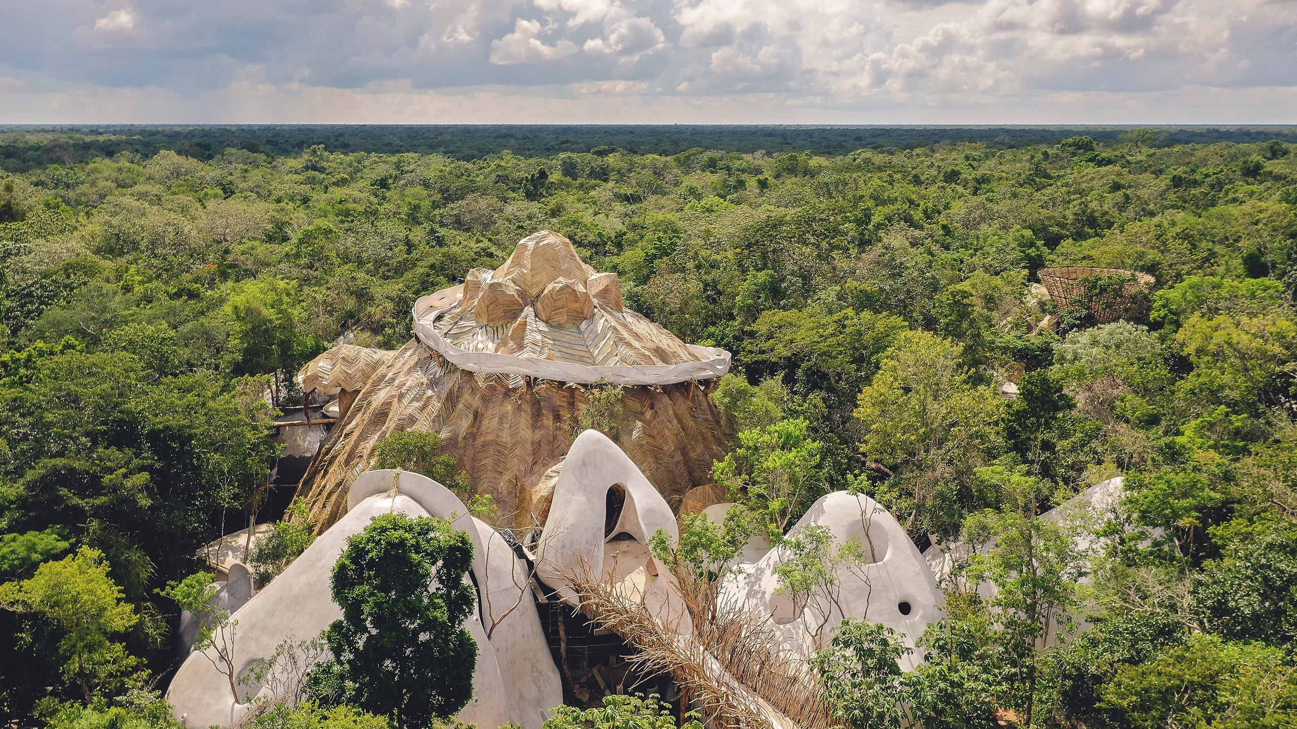 Артцентр посреди джунглей на полуострове Юкатан
