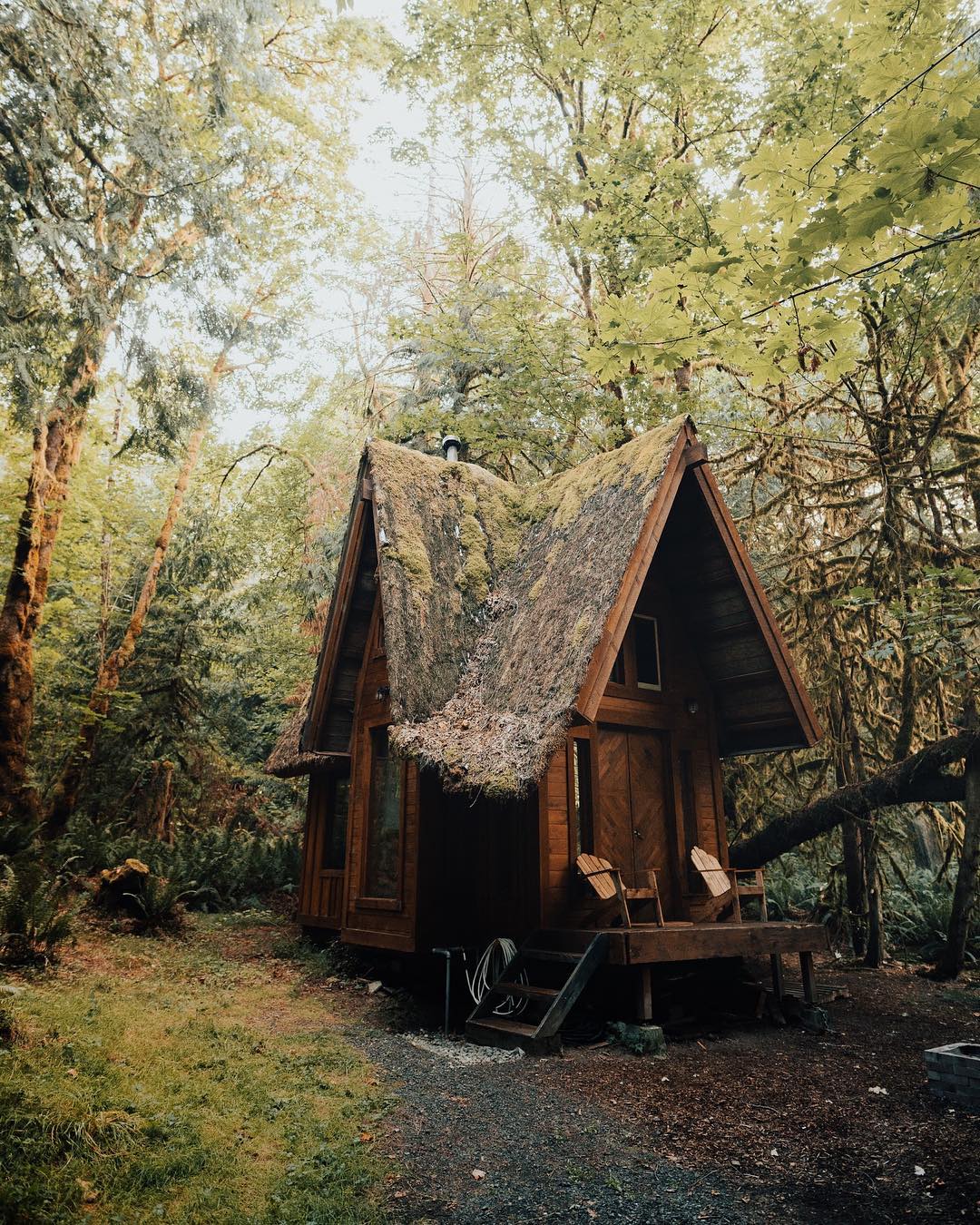 Инстаграм дня уютные деревянные домики в дикой природе