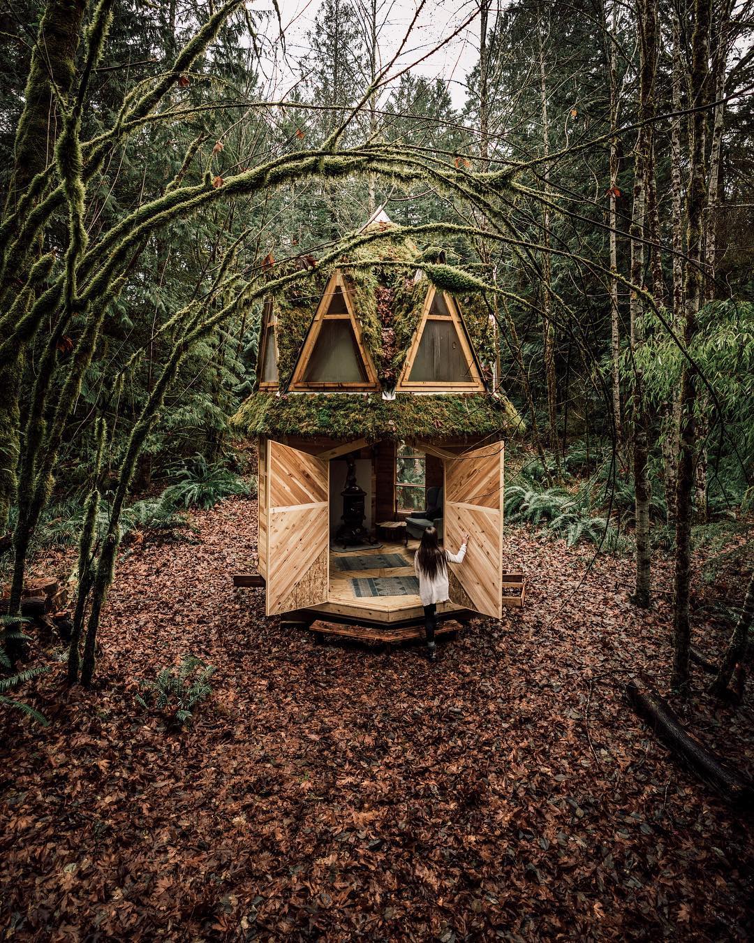 Инстаграм дня уютные деревянные домики в дикой природе