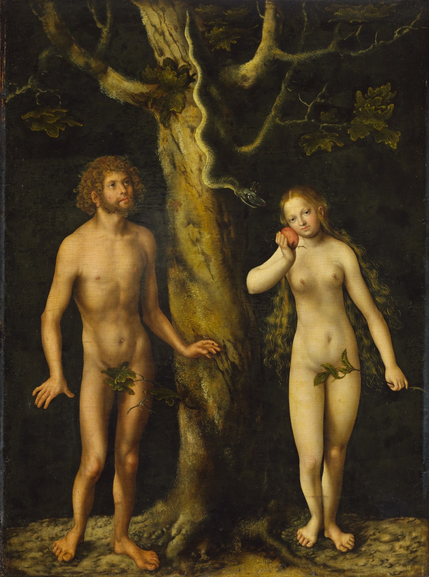Лукас Кранах Старший . “Адам и Ева” около 1510 года. Масло без рамы 59 x 44 см. Национальный музей в Варшаве.
