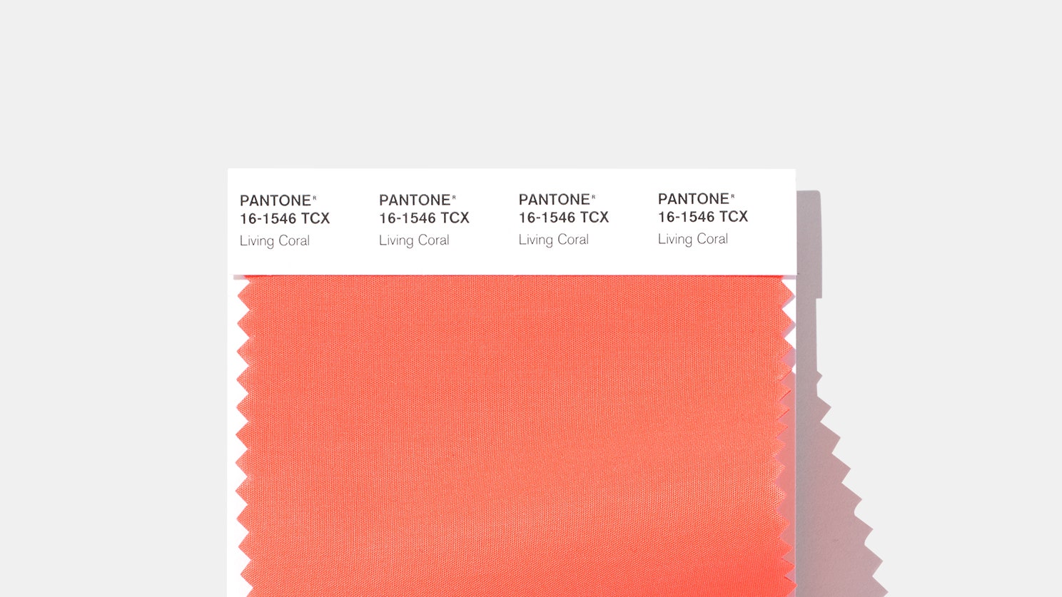 Pantone объявил коралловый цветом 2019 года