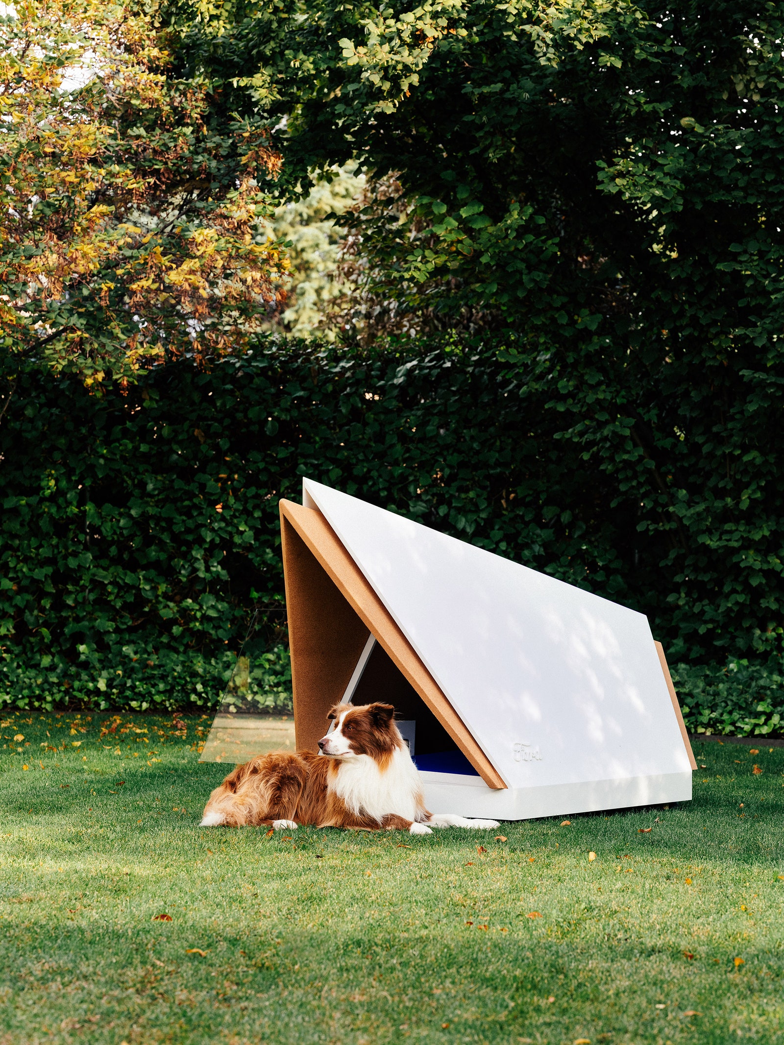 Архитектурный подарок шумоизолированная будка для собак