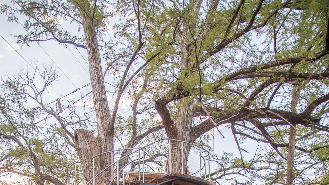 отпускпообмену дом на деревьях в Техасе