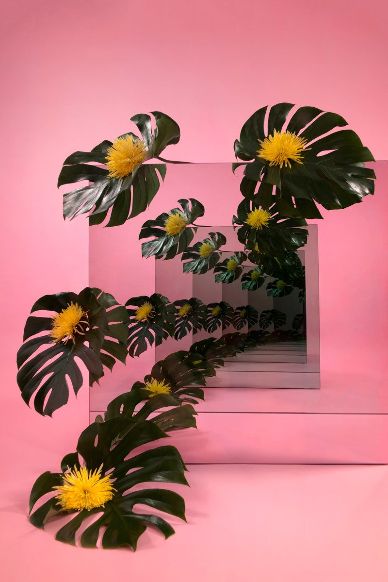 Цветочные композиции в зеркалах фото работ Сары Мейохе