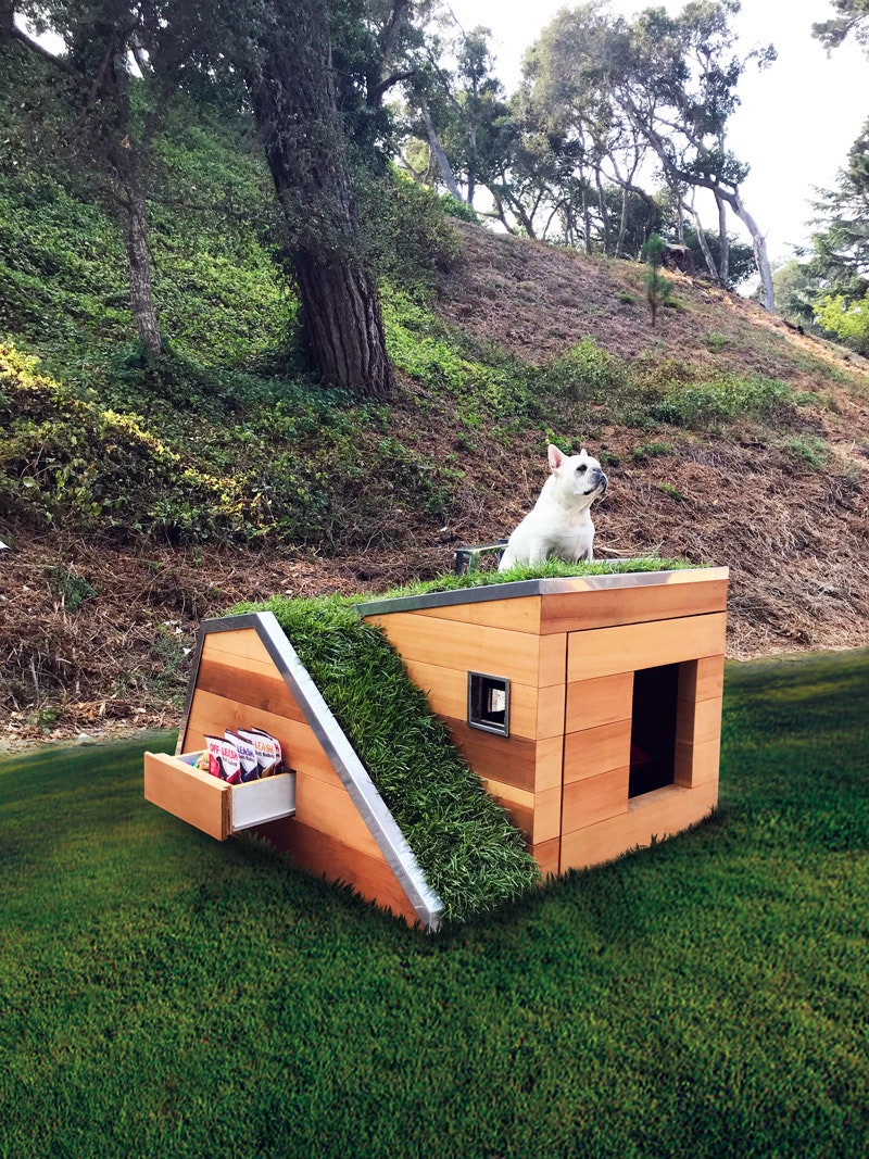 Будка для собаки фото домика для питомцев от студии Schicketanz
