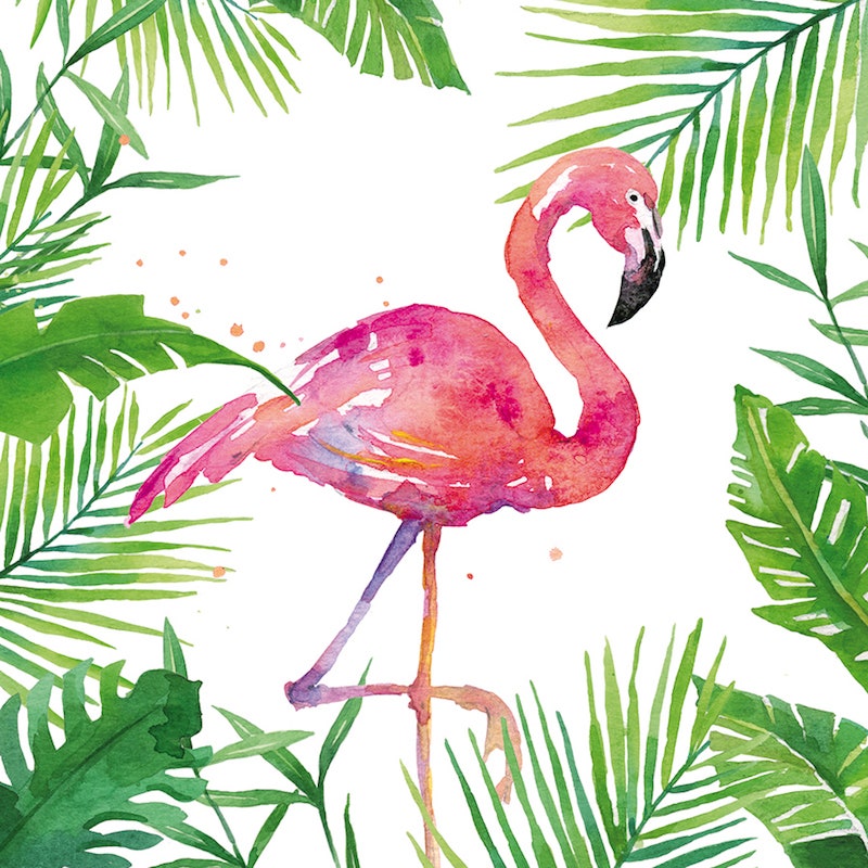 Салфетки Tropical Flamingo Paperproducts Design.