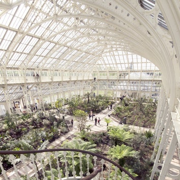 Королевские ботанические сады Кью снова открыты для посетителей