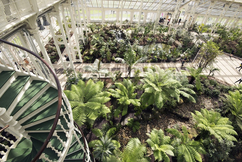 Королевские ботанические сады Кью открылись для посетителей после реставрации