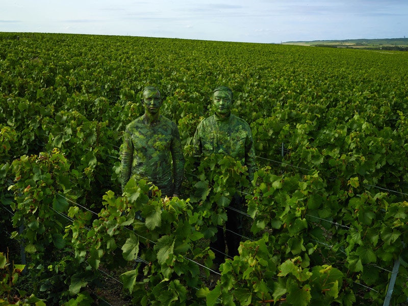 Проект Лю Болина для виноделов Ruinart человекневидимка в Шампани