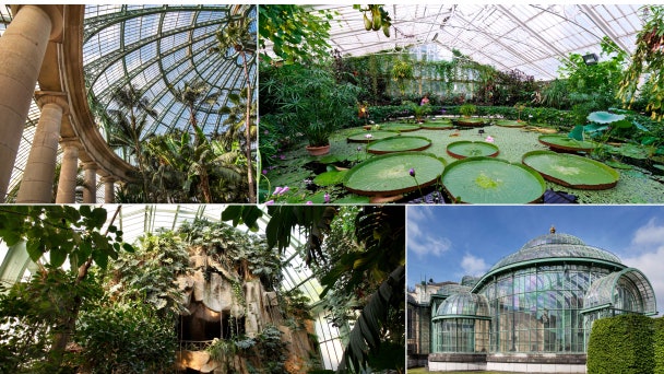 Самые красивые оранжереи мира Palm House в Вене ботанический сад Копенгагена и другие
