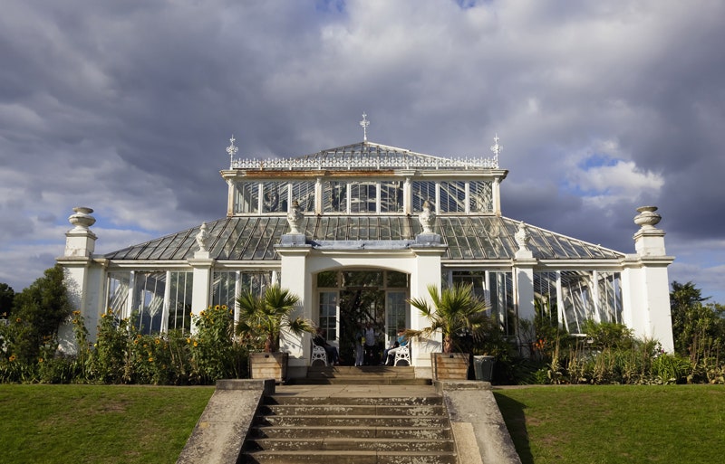 Самые красивые оранжереи мира Palm House в Вене ботанический сад Копенгагена и другие