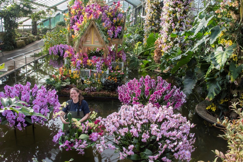 Самые красивые оранжереи мира Palm House в Вене ботанический сад Копенгагена и другие