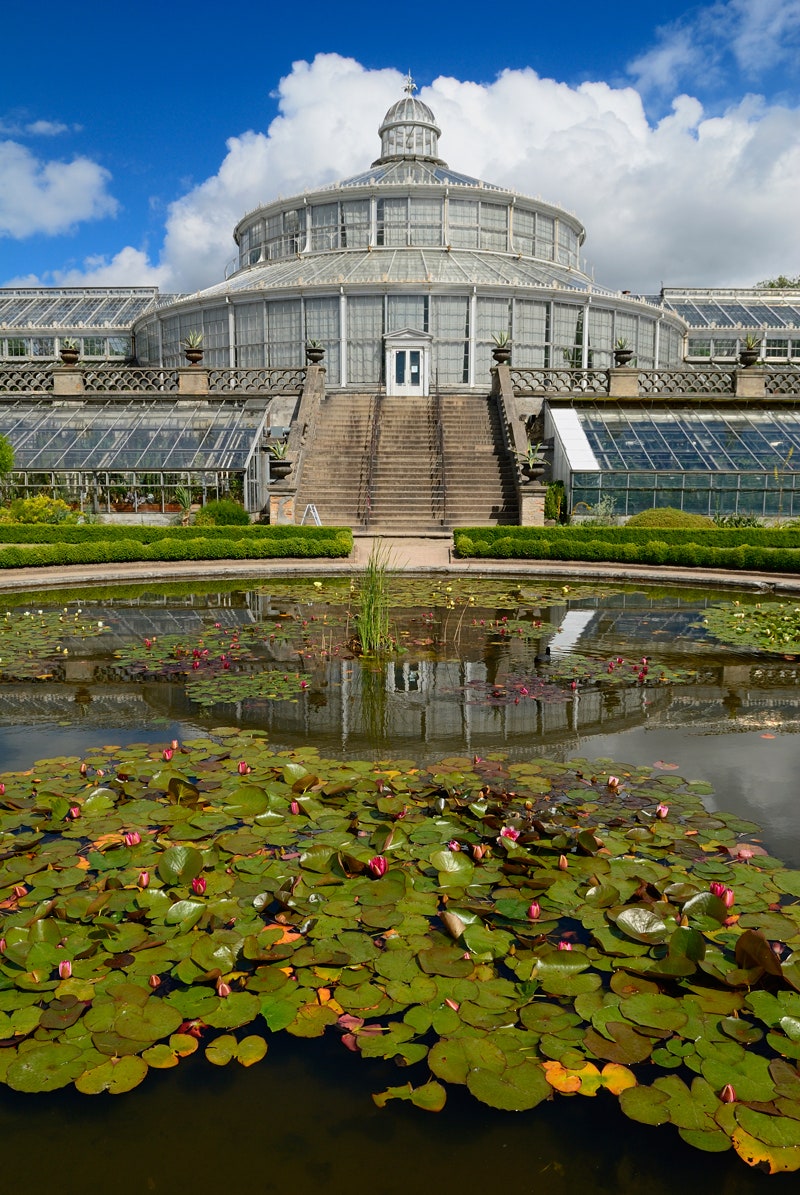 Самые красивые оранжереи мира: Palm House в Вене, ботанический сад  Копенгагена и другие | AD Magazine