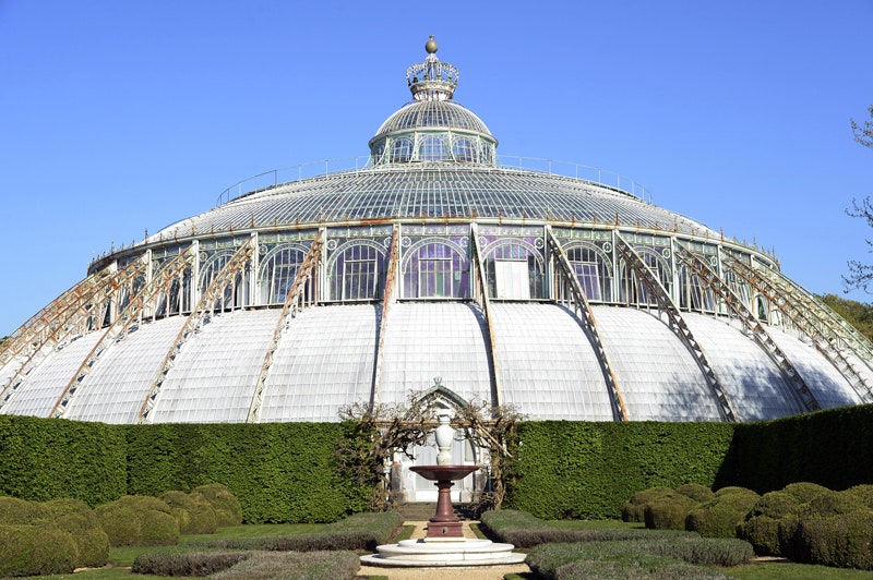 Самые красивые оранжереи мира Palm House в Вене ботанический сад Копенгагена и другие