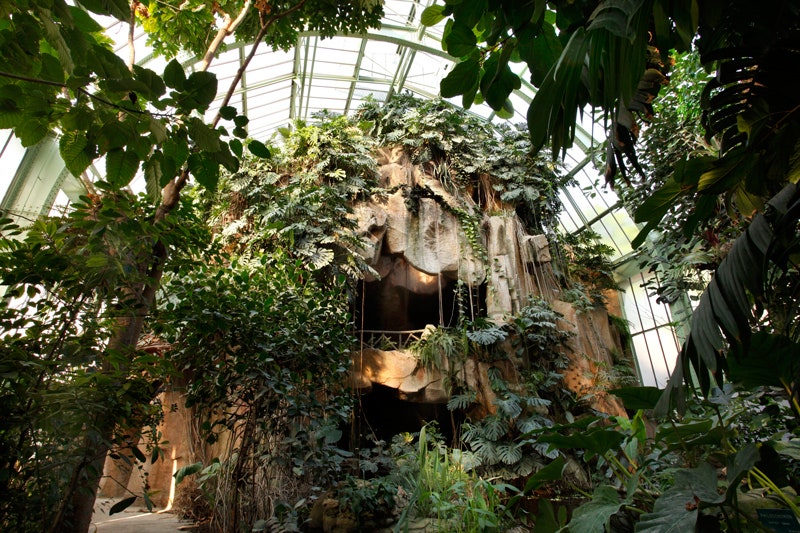 Самые красивые оранжереи мира Palm House в Вене ботанический сад Копенгагена и другие