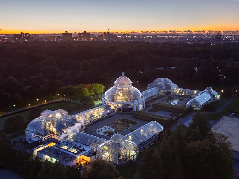 Самые красивые оранжереи мира Palm House в Вене ботанический сад Копенгагена и другие