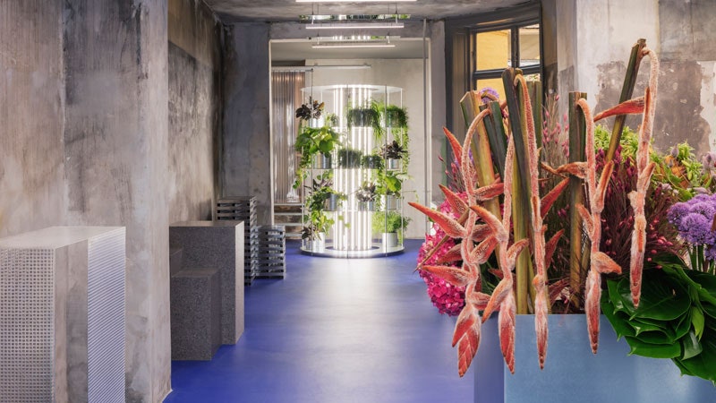 Цветочный магазин Tableau в Копенгагене инсталляция Дэвида Тулструпа