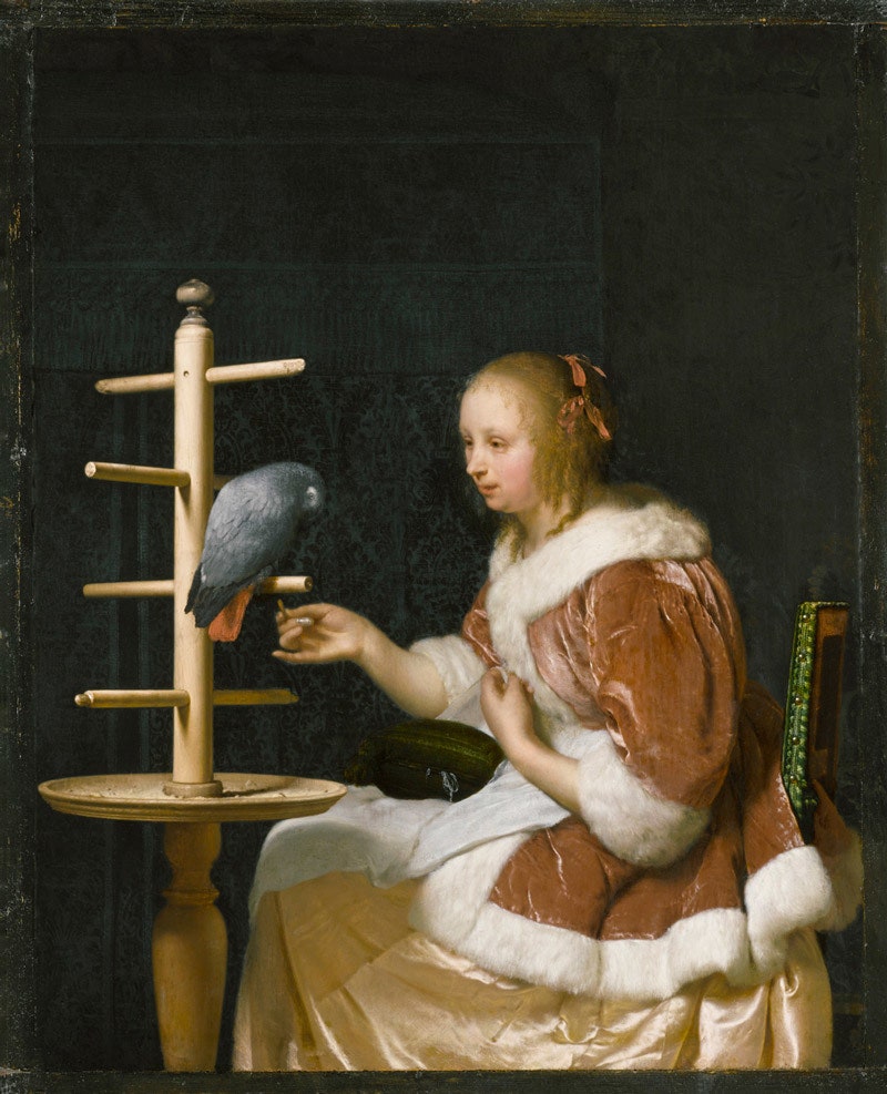 Франц ван Мирис . “Молодая женщина кормит попугая”. 1663. Холст масло. 224 x 177.