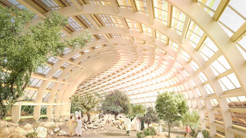 Самый большой ботанический сад в мире появится в Омане у подножия гор Хаджар