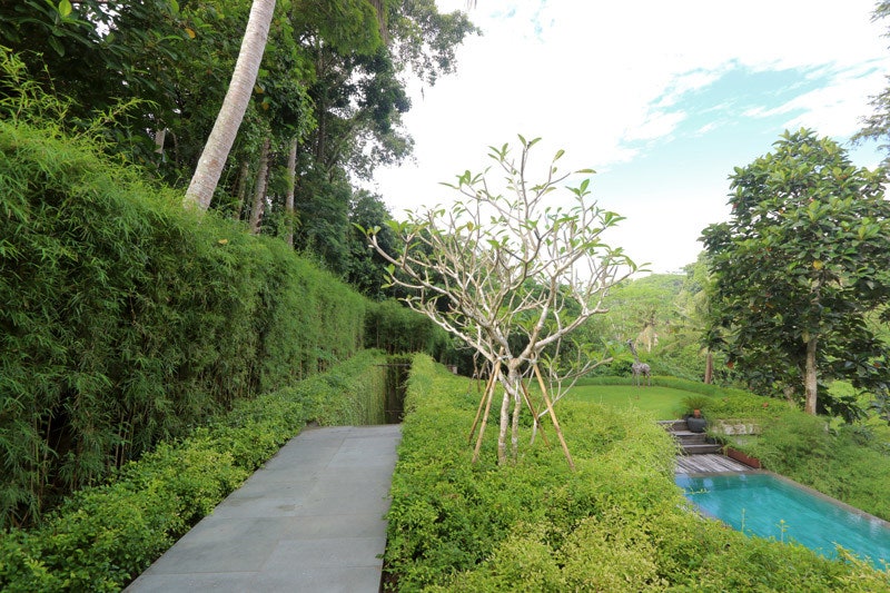 Каскадная вилла Chameleon в джунглях Бали проект Валентины Аудрито