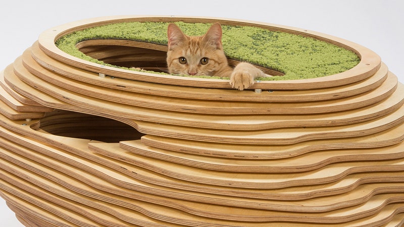 Игровые комплексы для кошек из ковролина