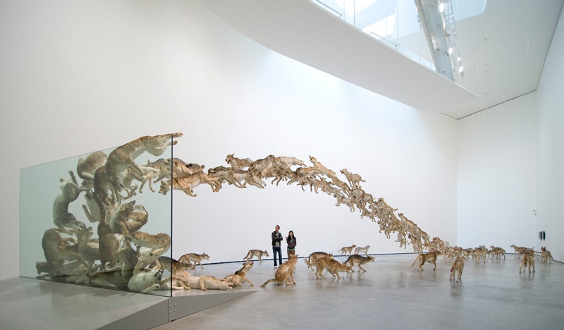 Head on  2006. Инсталляция из 99 чучел волков ©FMGB Guggenheim Bilbao Museoa 2009. Photo Erika BarahonaEde.
