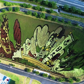 Искусство рисовых полей в Японии