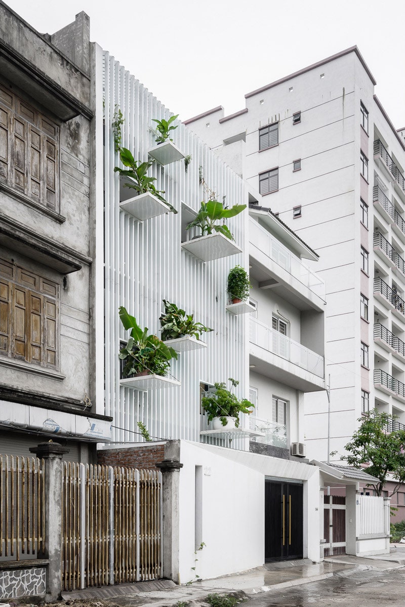 Дом с фасадом из растений в Ханое работа архитектурного бюро DANstudio