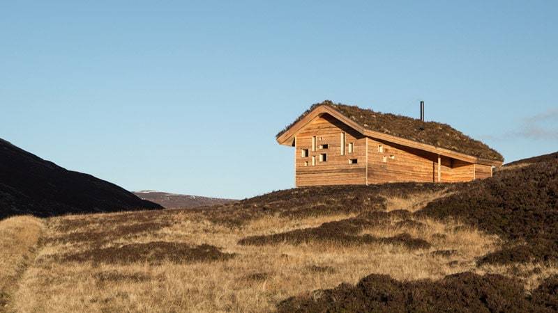 Модернистская хижина в Шотландии от архитектурного бюро Moxon Architects