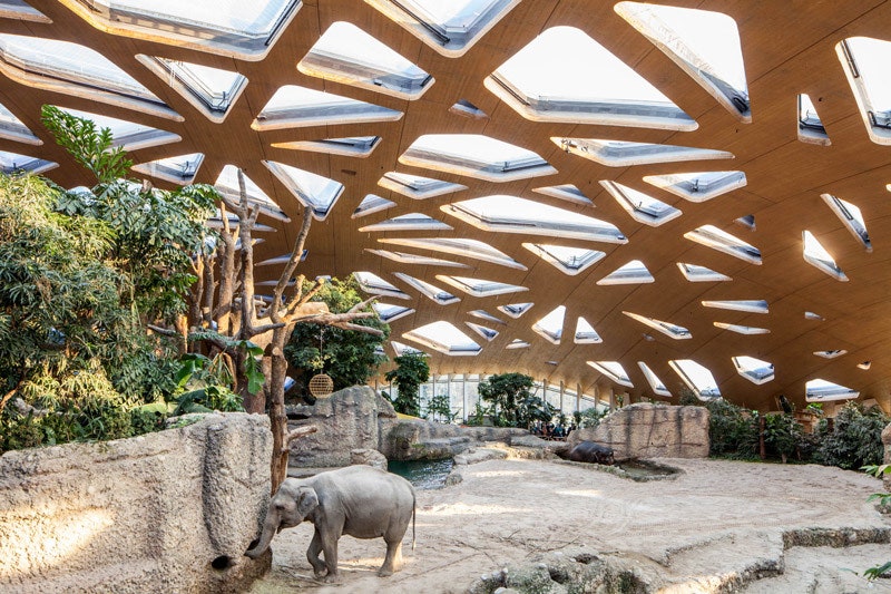 Проекты с необычной крышей теннисный клуб в Иджбурге домик для отдыха в Японии и другие