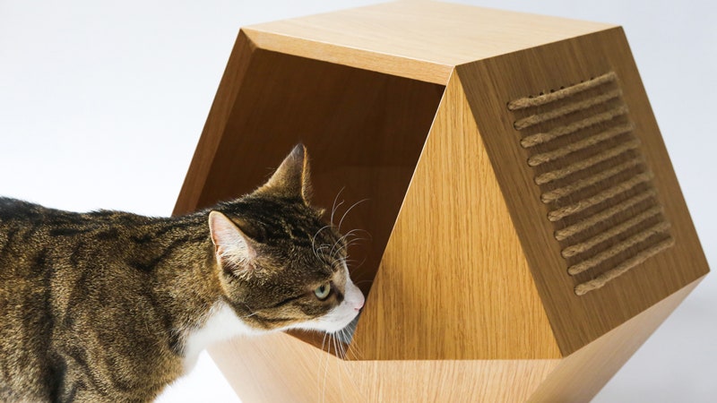 Kotohouse домик для кота и журнальный столик от Екатерины Вагуриной и Тимофея Журавлева