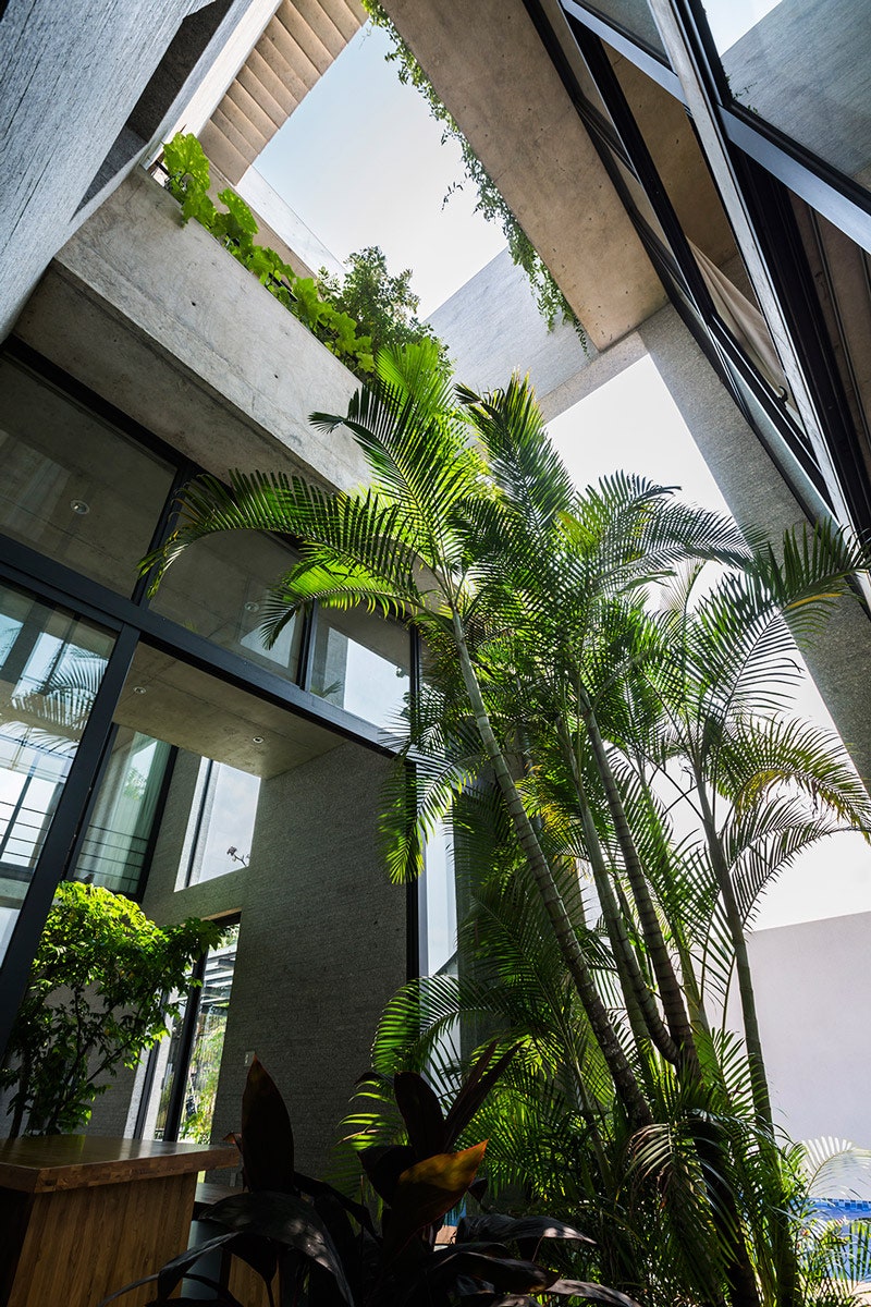 «Зеленый» дом во Вьетнаме проект архитектора Во Тронга Нгиа | Admagazine