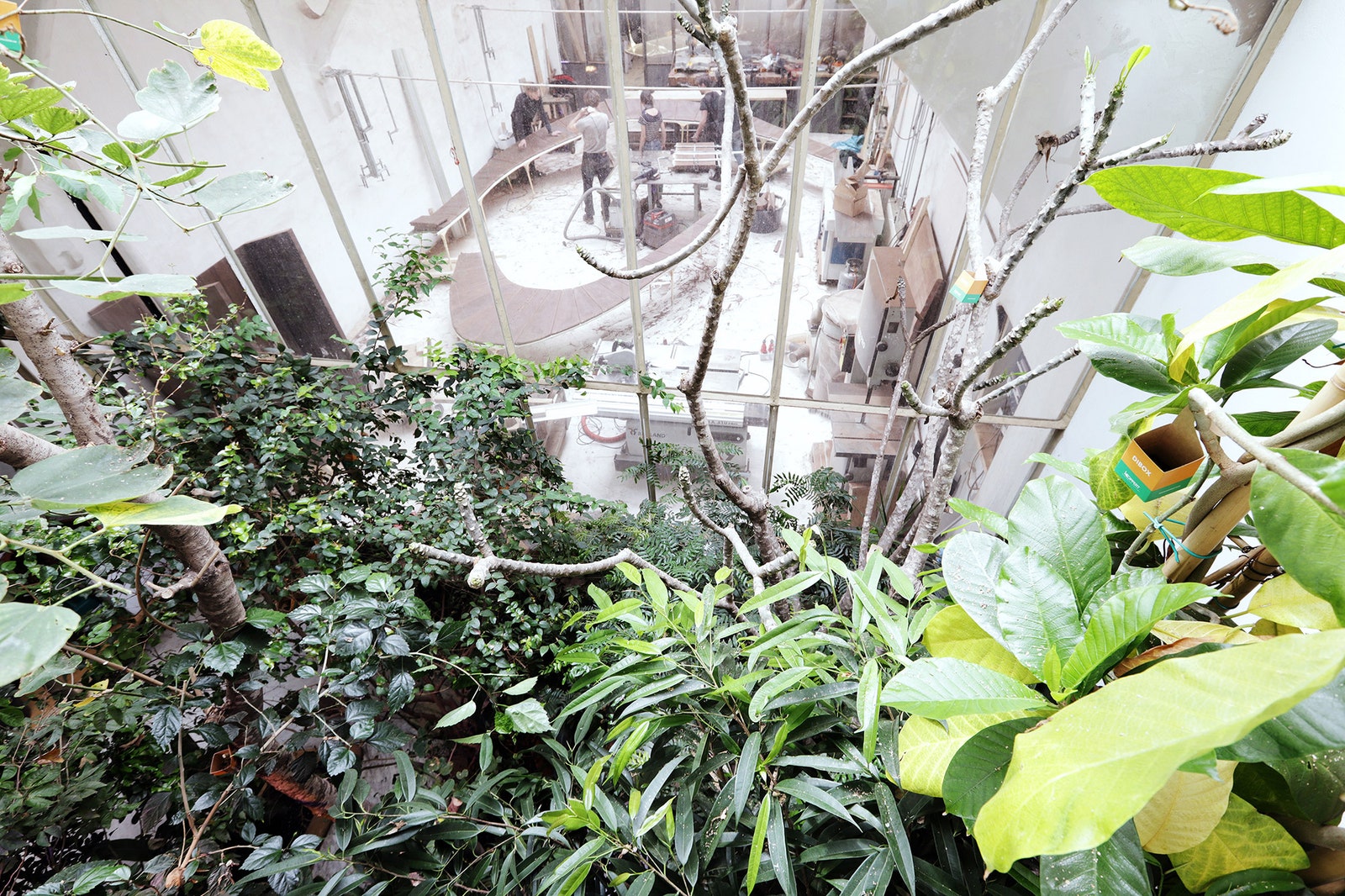 Японский сад на заброшенной фабрике мастерская Валентина Лёлльманна в Маастрихте