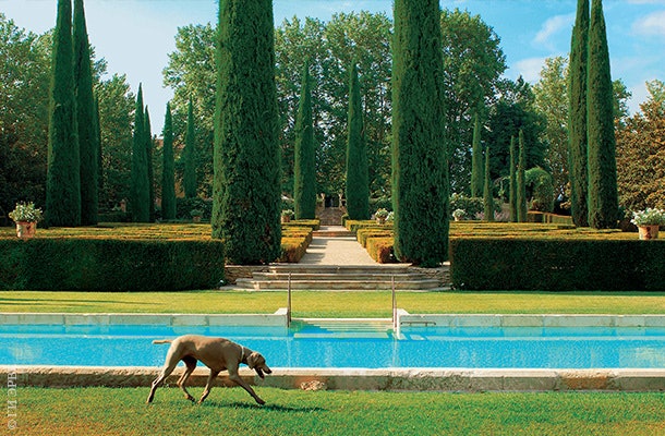К югу от замка расположен регулярный сад с бассейном. Здесь высажен самшит и флорентийские кипарисы. Собака — любимица...
