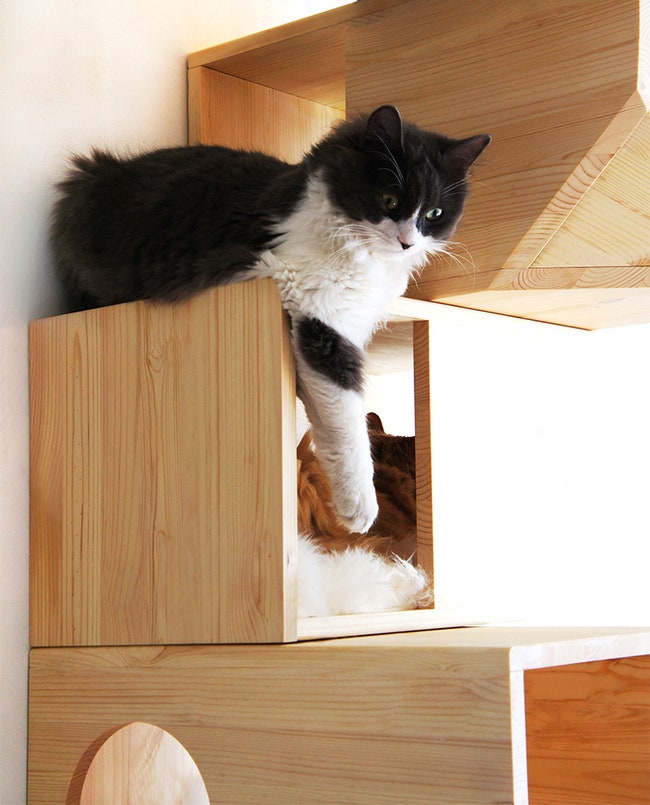 Подвесной домик для кошек от эстонской студии Catissa | Admagazine