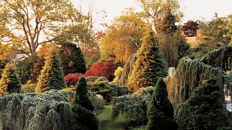 Пейзажный сад Тони Инграо и Ренди Кемпера в Англии в ИстХэмптоне | Admagazine