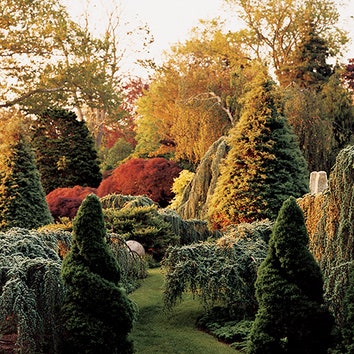 Пейзажный сад в Англии