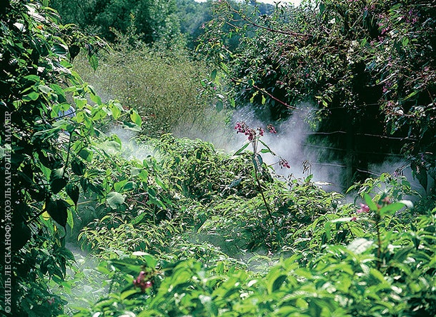 Система спецприборов помогает приводить воду в саду в разные состояния — например превращать в туман.
