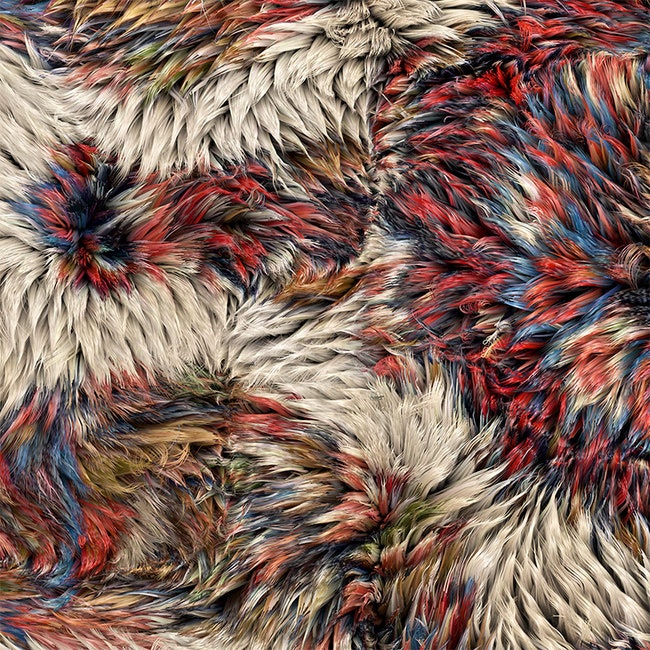 Пушистые персидские ковры Moooi Carpets напечатанные на принтере | Admagazine