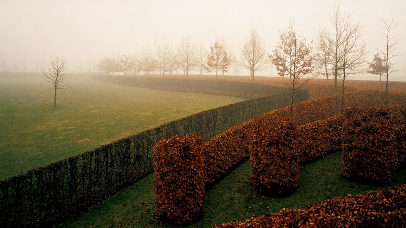 Парк в Бельгии по проекту Жака Вирца фото ландшафтов | Admagazine
