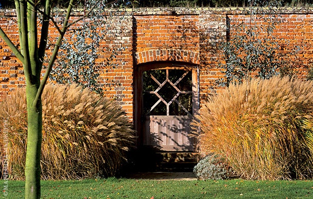 Травы возле стены на осень и зиму оставляют нескошенными — так четче видна композиция посадок.
