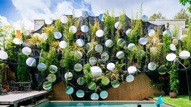 Зеркальная стена у бассейна в Мадриде вертикальный сад с зеркалами | Admagazine