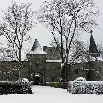 Зимний сад в Бельгии