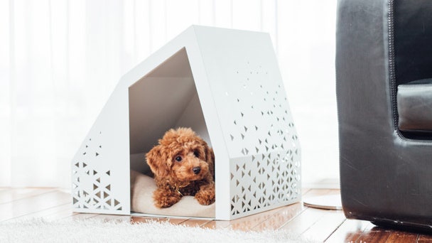 Дизайнерские будки манежи и лежанки для собак от корейской студии Bad Marlon | Admagazine