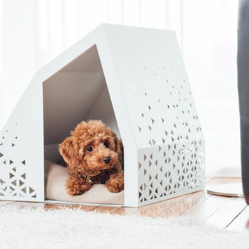 Дизайнерские домики для собак