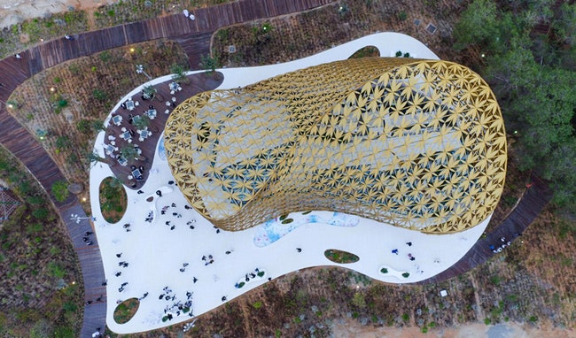 Павильон бабочек в ОАЭ в трансмедийном ландшафтном парке на острове АльНурАйленд | Admagazine