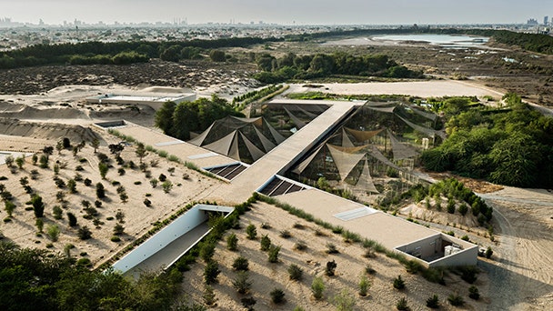 Центр для посетителей заповедника Wasit в ОАЭ по проекту студии из Дубая XArchitects | Admagazine