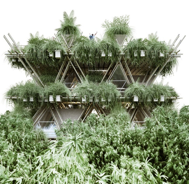 Бамбуковый город в Китае экологичное здание от студии Penda | Admagazine
