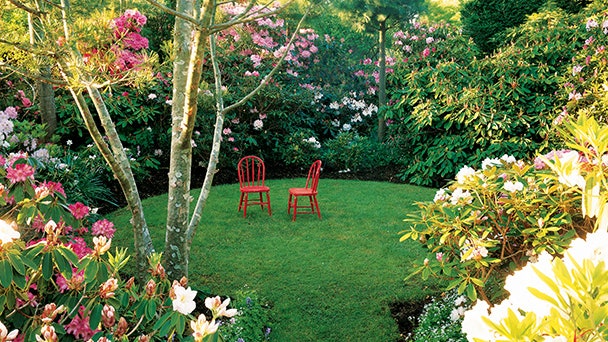 Сад в Новой Англии цветные участки работы Джона Гвинна и Майкла Фолкарелли | Admagazine