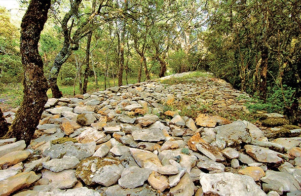 Каменная стена высотой около метра и длиной не менее ста метров. Когдато ее сложили местные жители расчищавшие лес для...